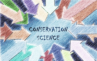 Conservation Science 2018 – Current State of the Field (survey by ICCROM)