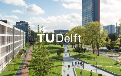 Delft University of Technology (TU Delft) – Netherlands – PhD position Neutron tomography on Cultural Heritage